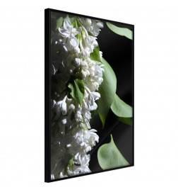 38,00 € Poster cu frunze verzi și flori albe - Arredalacasa