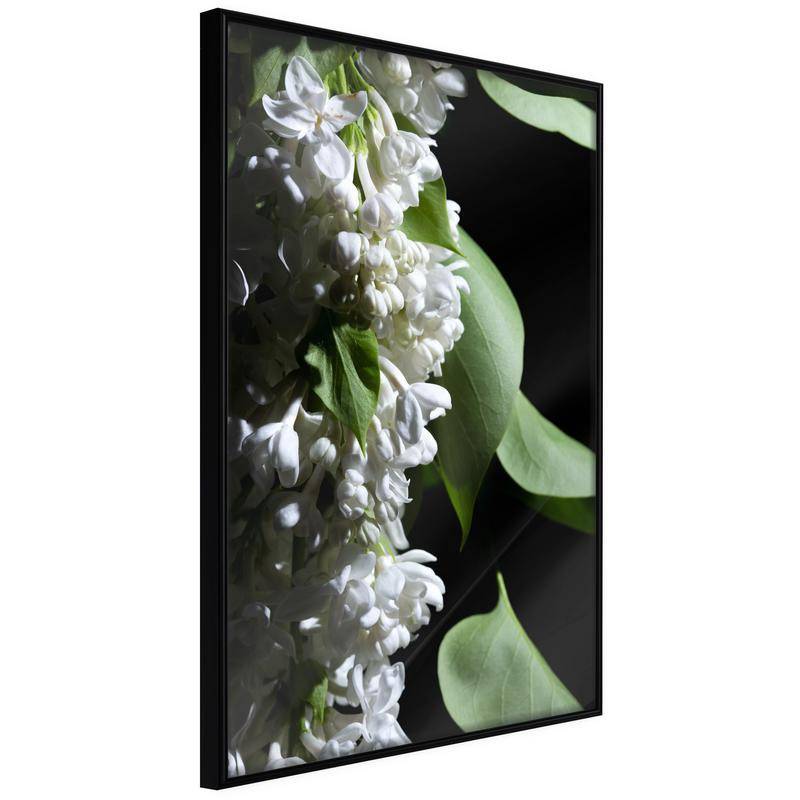 38,00 € Póster - Fragrant Spring