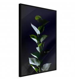 38,00 € Poster met groene bladeren met zwarte achtergrond, Arredalacasa