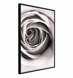Plakat z vrtnico v črno-beli barvi - Arredalacasa