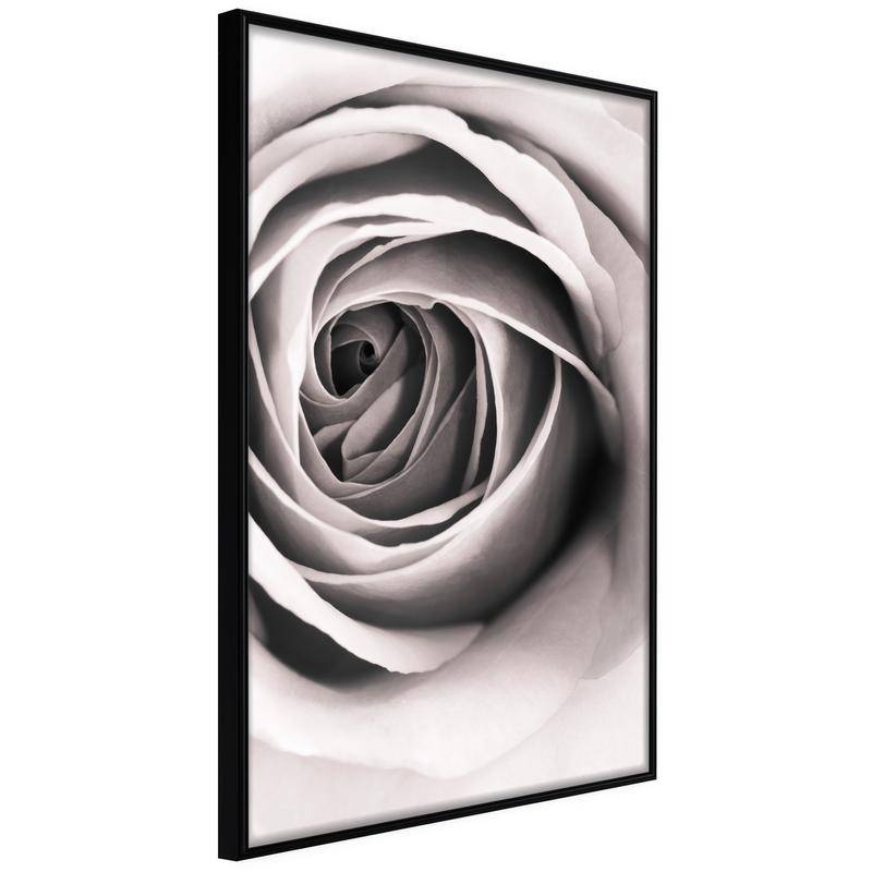 38,00 € Plakat z vrtnico v črno-beli barvi - Arredalacasa