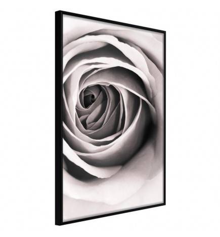 38,00 € Poster met een zwarte en witte roos Arredalacasa
