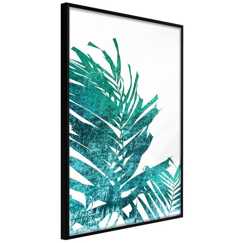 38,00 € Póster - Teal Palm on White Background