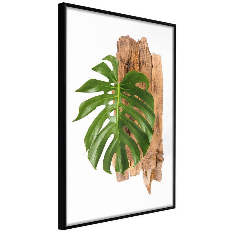 38,00 € Poster met een groen blad met hout Arredalacasa