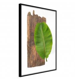 38,00 € Poster met een blad op hout Arredalacasa