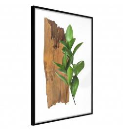 38,00 € Poster met een groen blad op hout Arredalacasa