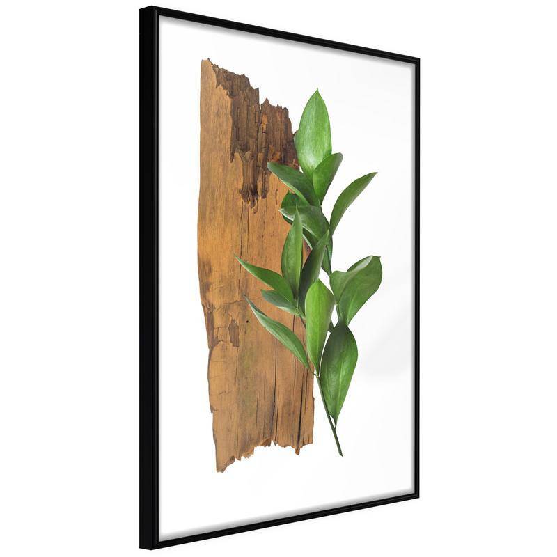 38,00 € Poster - Forest Bouquet