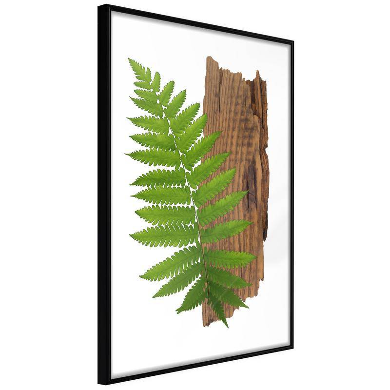 38,00 € Poster rohelise palmi lehed - Arredalacasa