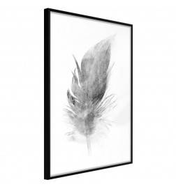 38,00 €Pôster - Lost Feather (Grey)