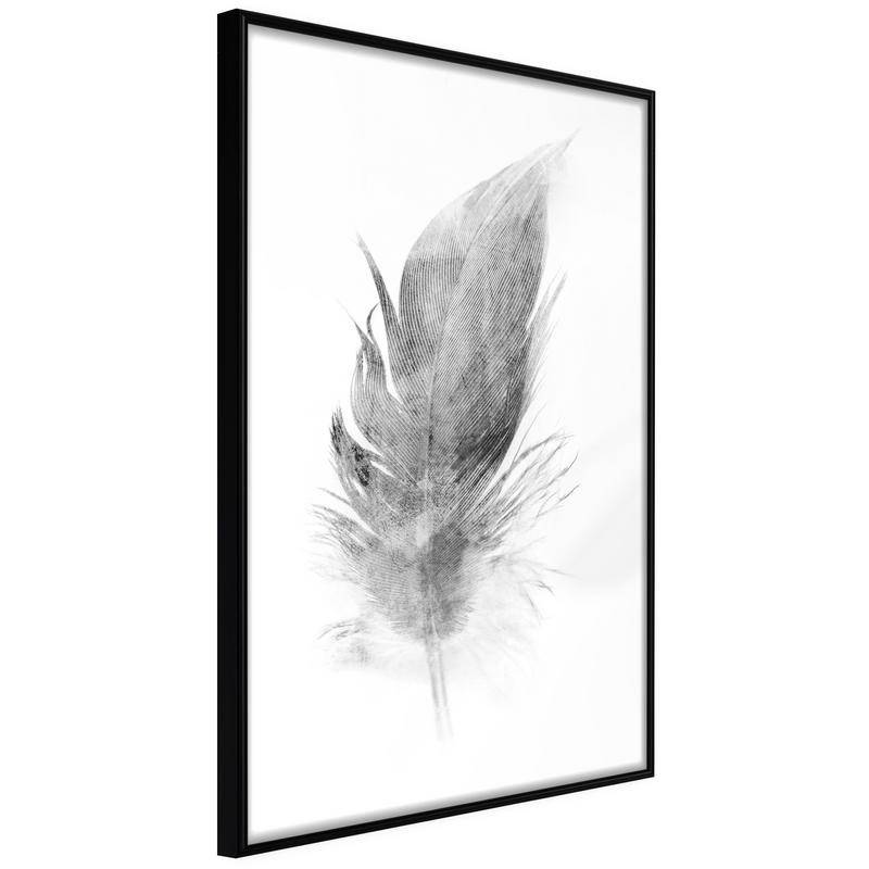 38,00 € Poster - Lost Feather (Grey)
