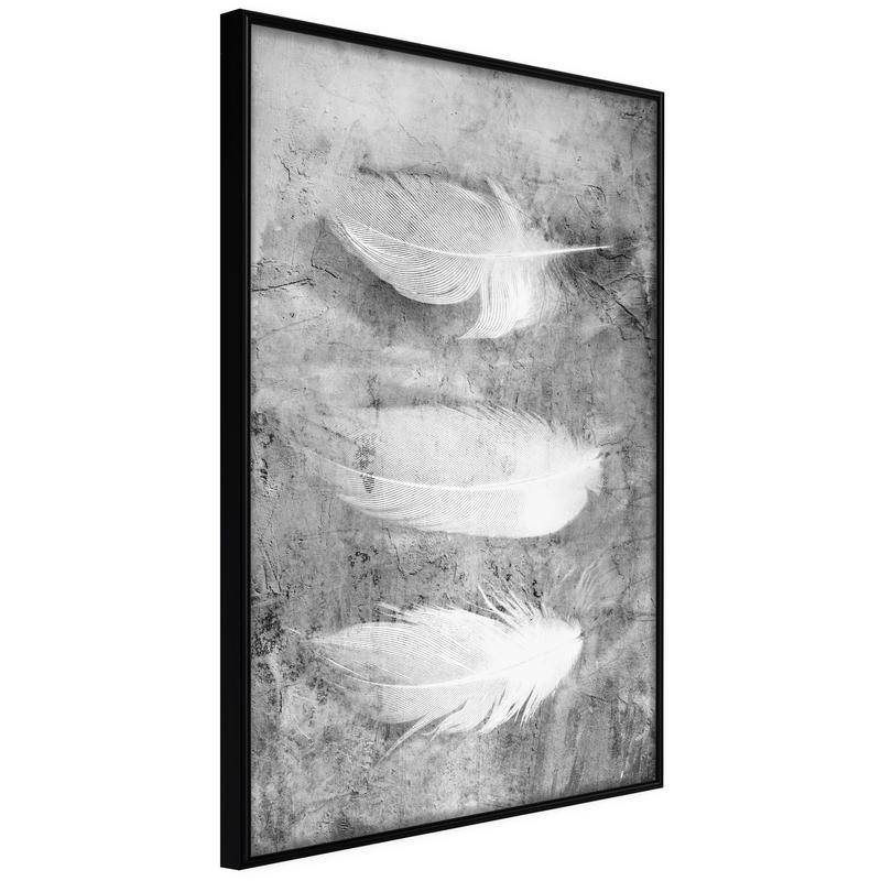 38,00 € Póster - Delicate Feathers