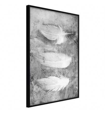 Poster et affiche - Delicate Feathers