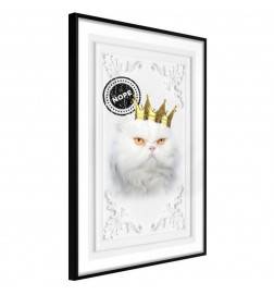 38,00 € Poster met de Koning van Cats Arredalacasa