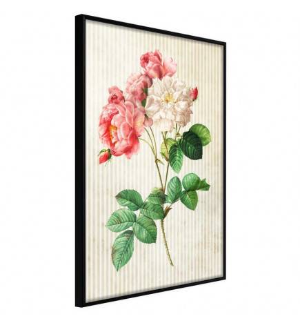 38,00 € Poster met roze en witte peonies Arredalacasa
