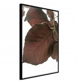 Poster cu frunze maro și întunecate - Arredalacasa