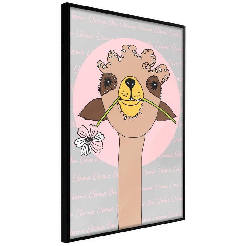 38,00 € Poster - Cute Llama