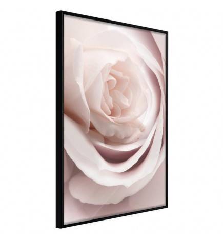 Poster in cornice con una rosa raffinata - Arredalacasa