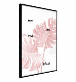 38,00 € Poster - Pale Pink Monstera