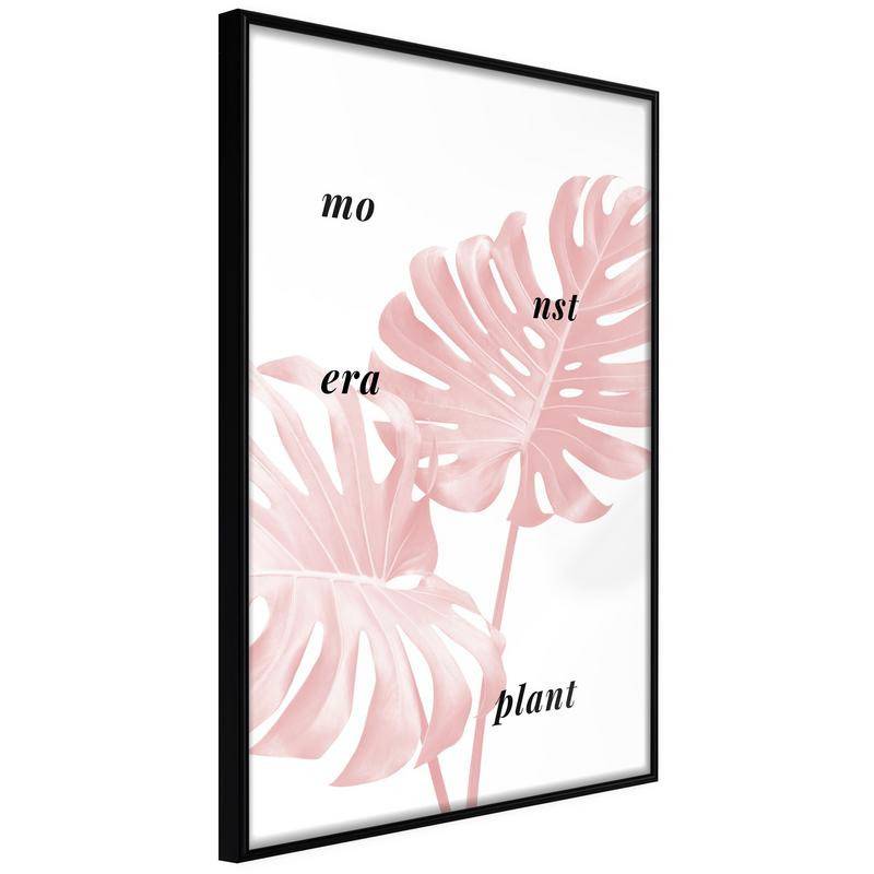 38,00 € Poster - Pale Pink Monstera