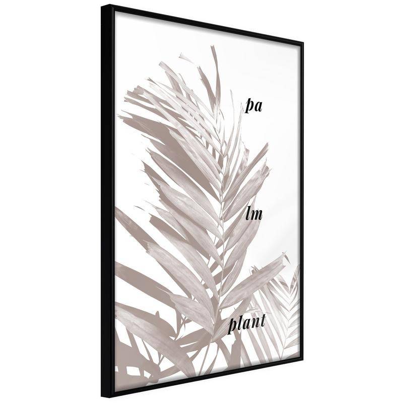 38,00 € Poster cu frunze de palmă gri - Arredalacasa
