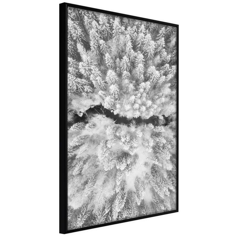 45,00 € Poster - Frost Land