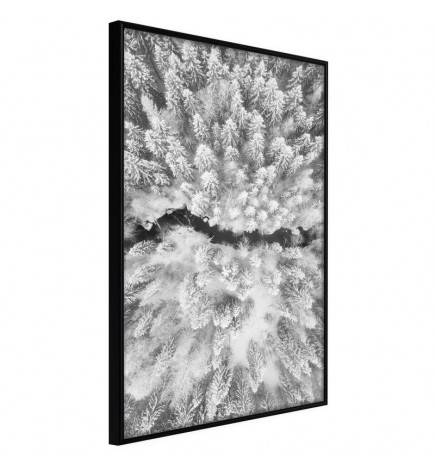 45,00 € Poster With Air View On Frozen Trees Arredalacasa