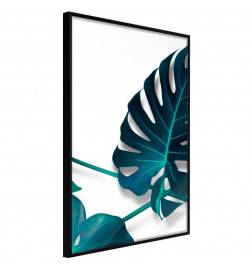 Poster - Turquoise Monstera I