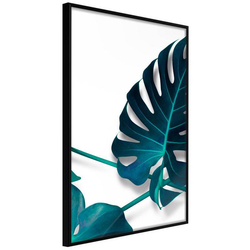 38,00 €Pôster - Turquoise Monstera I