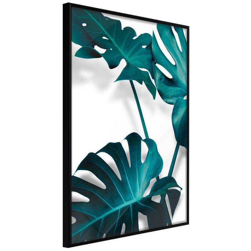 38,00 €Pôster - Turquoise Monstera II
