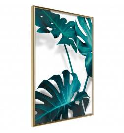 Poster et affiche - Turquoise Monstera II