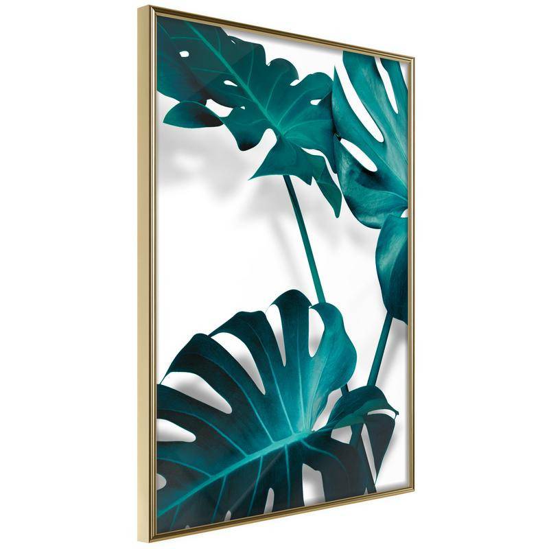 38,00 €Poster et affiche - Turquoise Monstera II
