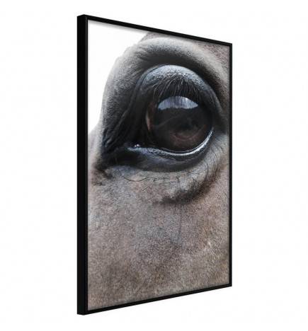 Poster in cornice con un occhio da cavallo - Arredalacasa
