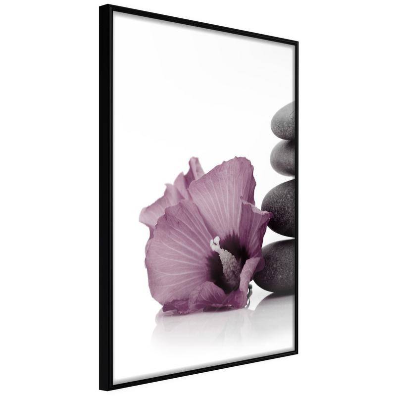 38,00 € Plakat z vijolično lilijo - Arredalacasa