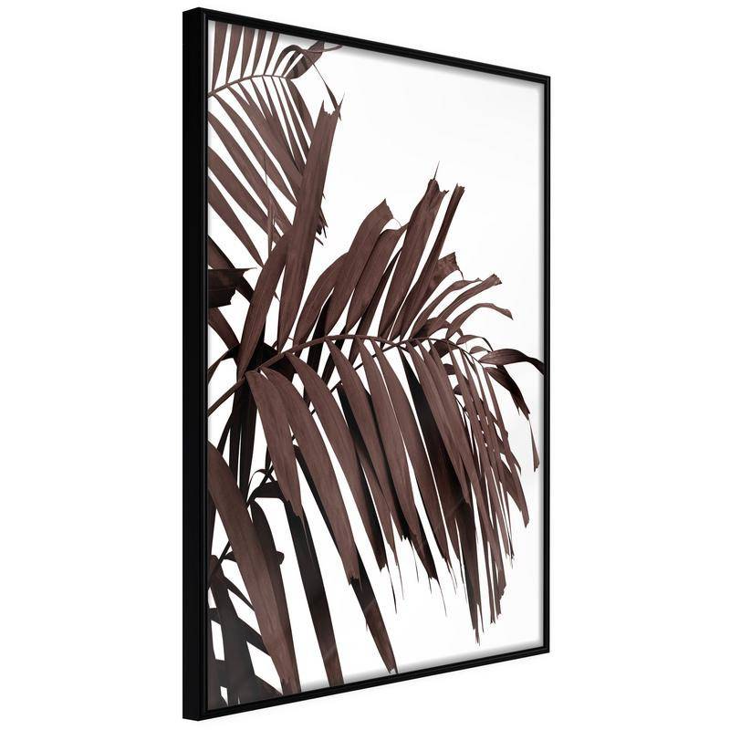 38,00 € Poster met donkere bruine palmbladeren, Arredalacasa