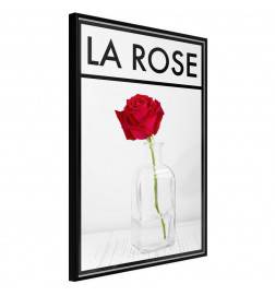38,00 € Poster met een rode roos, Arredalacasa