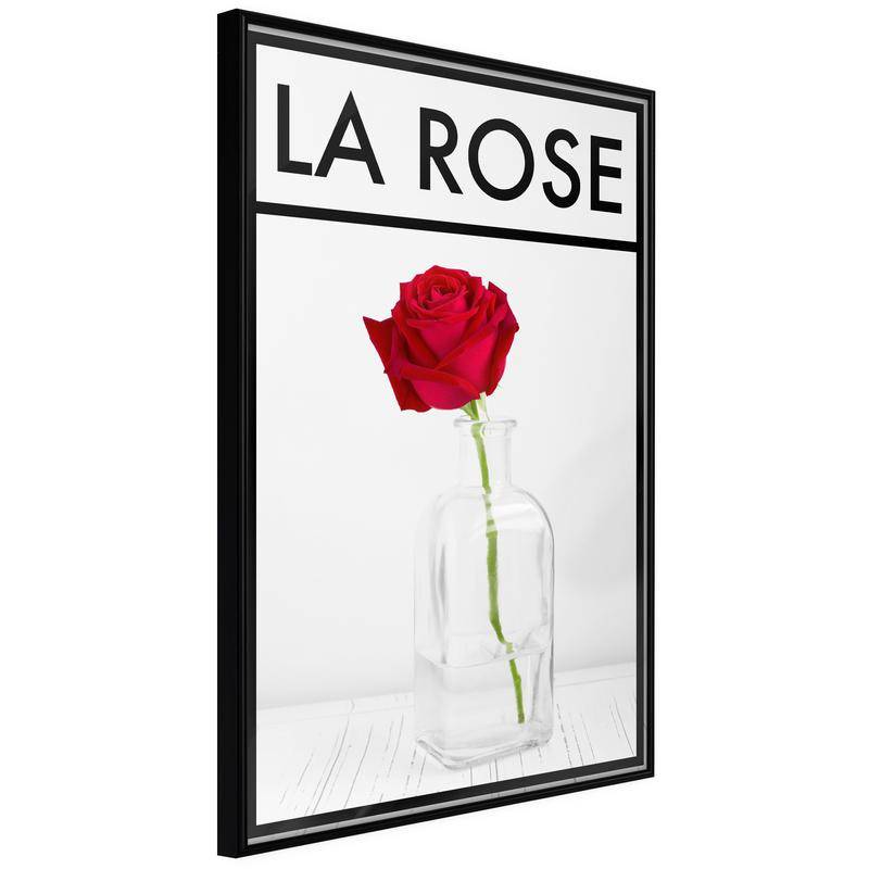 38,00 € Poster - Rose in the Vase