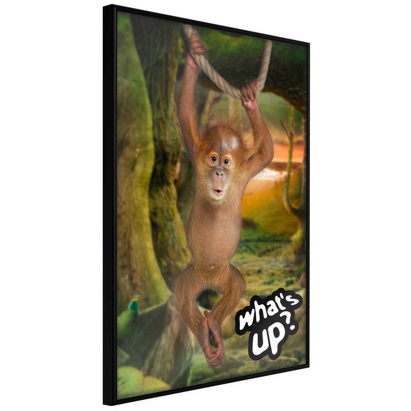 38,00 € Póster - Life in the Jungle