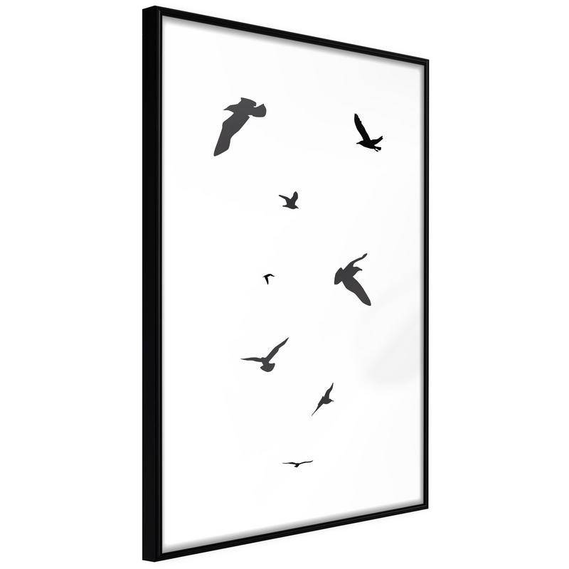 38,00 € Plakat s pticami v letu - Arredalacasa