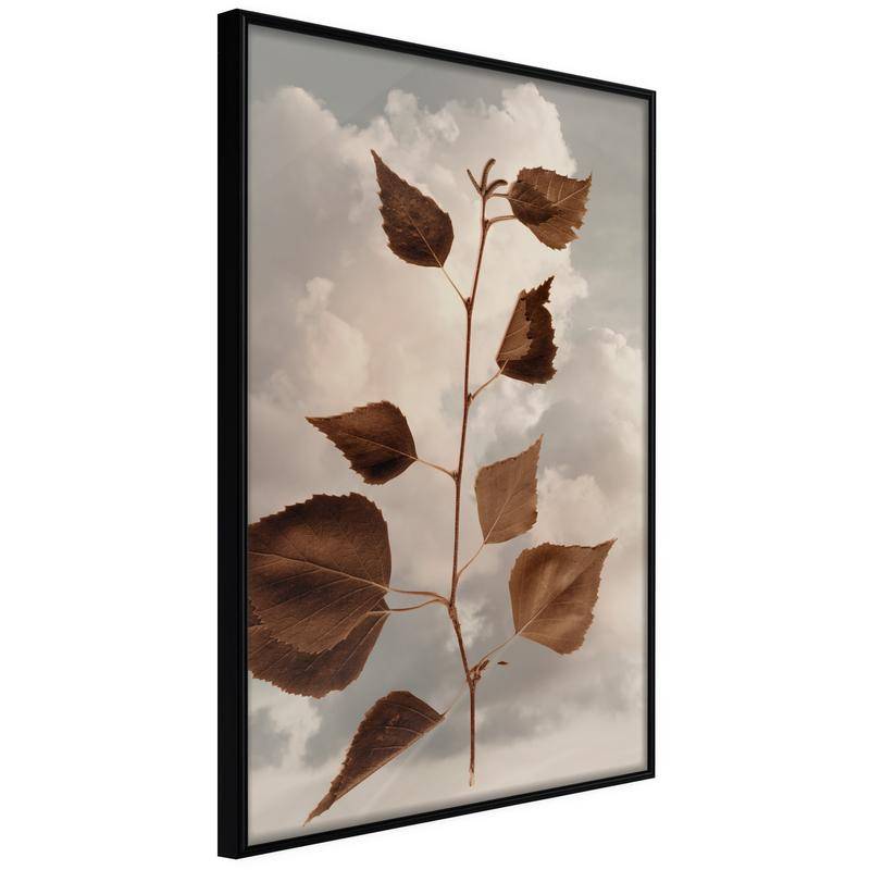 38,00 € Poster - Leaves in the Clouds