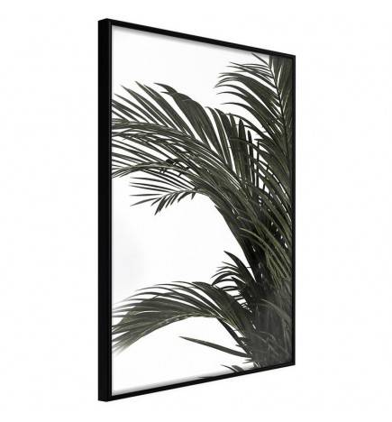 Plakāts ar palmu lapām vējā - Arredalacasa