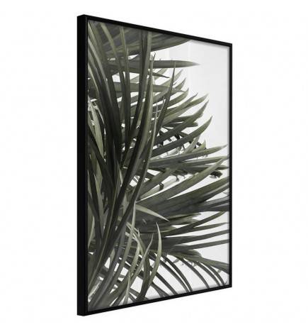 Plakatas su daugybe palmių lapų – Arredalacasa