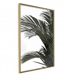 Poster in cornice - Foglie di palma al vento - Arredalacasa