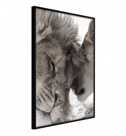 Poster in cornice con due leoni innamorati - Arredalacasa