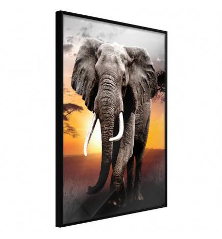 Plakat z velikim slonom - Arredalacasa