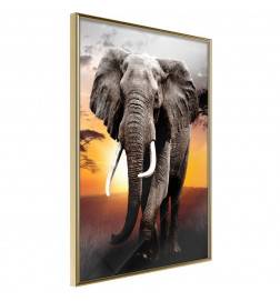 Poster in cornice con un grande elefante - Arredalacasa