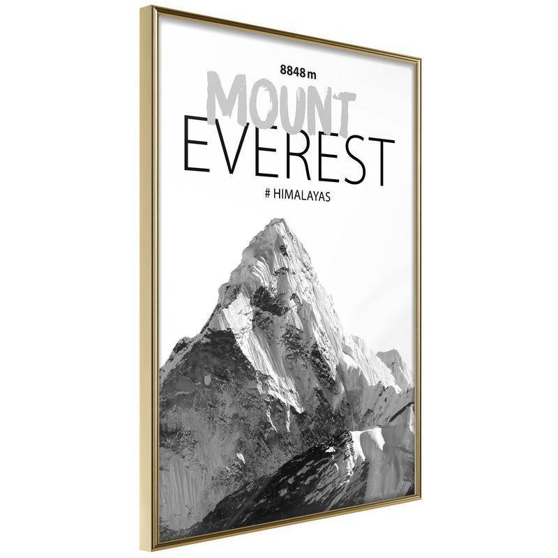 45,00 € Everesti mägi - Arredalacasa