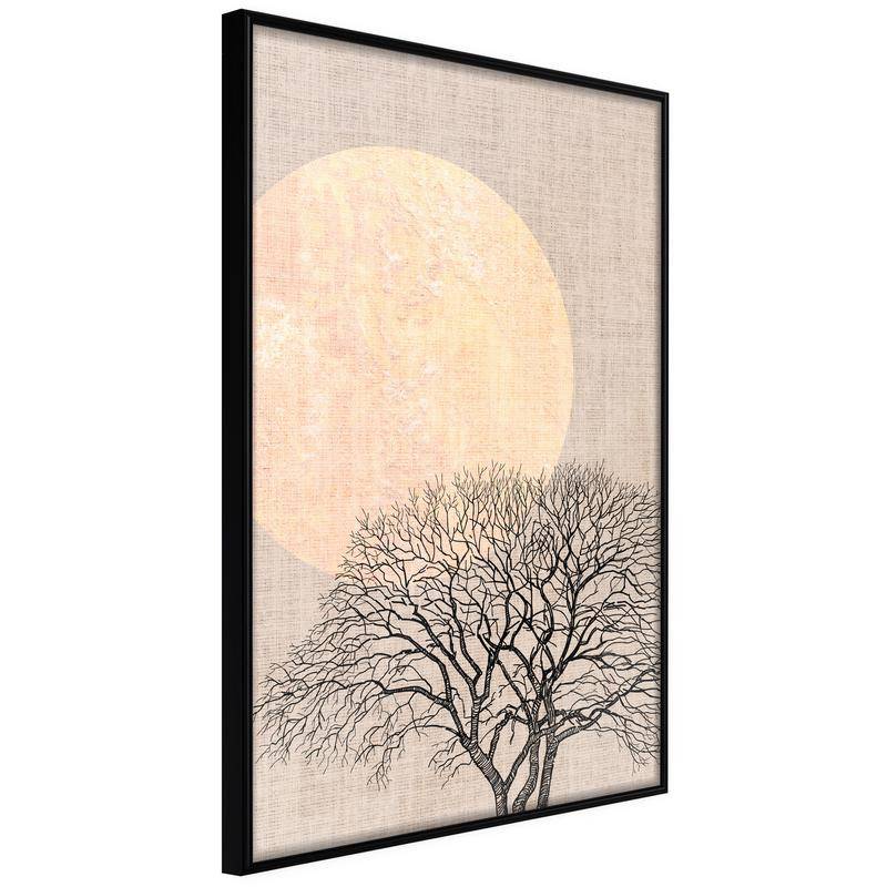 38,00 € Poster met een boom en met de maan