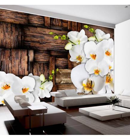 Wallpaper - Blooming orchids