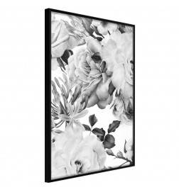 Poster - Black and White Nature