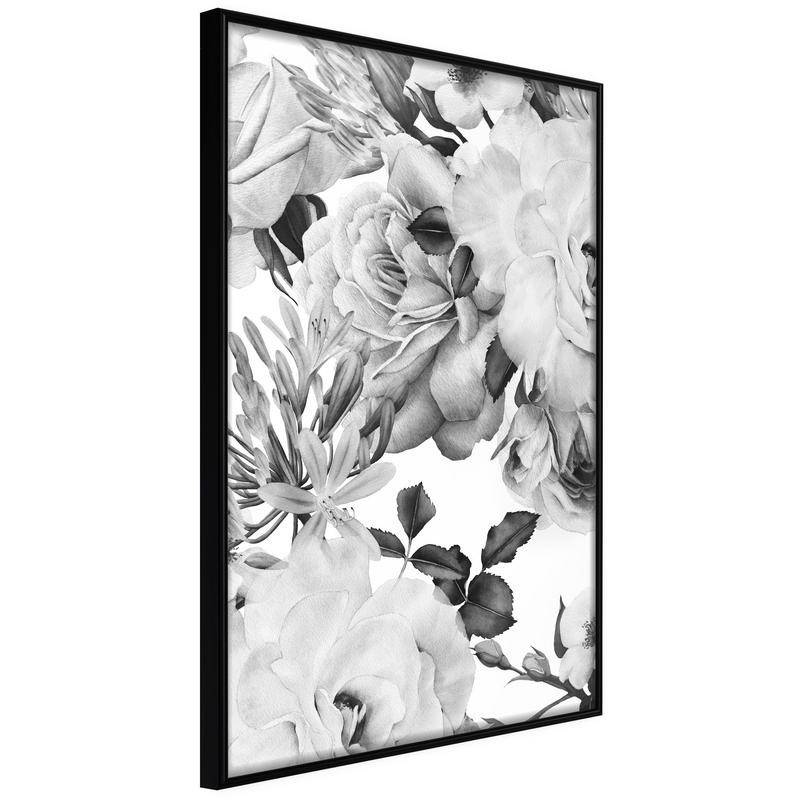 38,00 € Poster - Black and White Nature